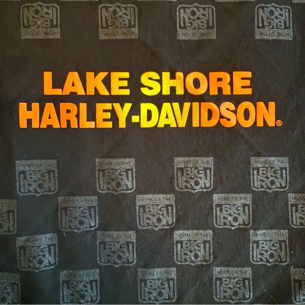 Harley-Davidson Lake Shore Illinois Black Bandana